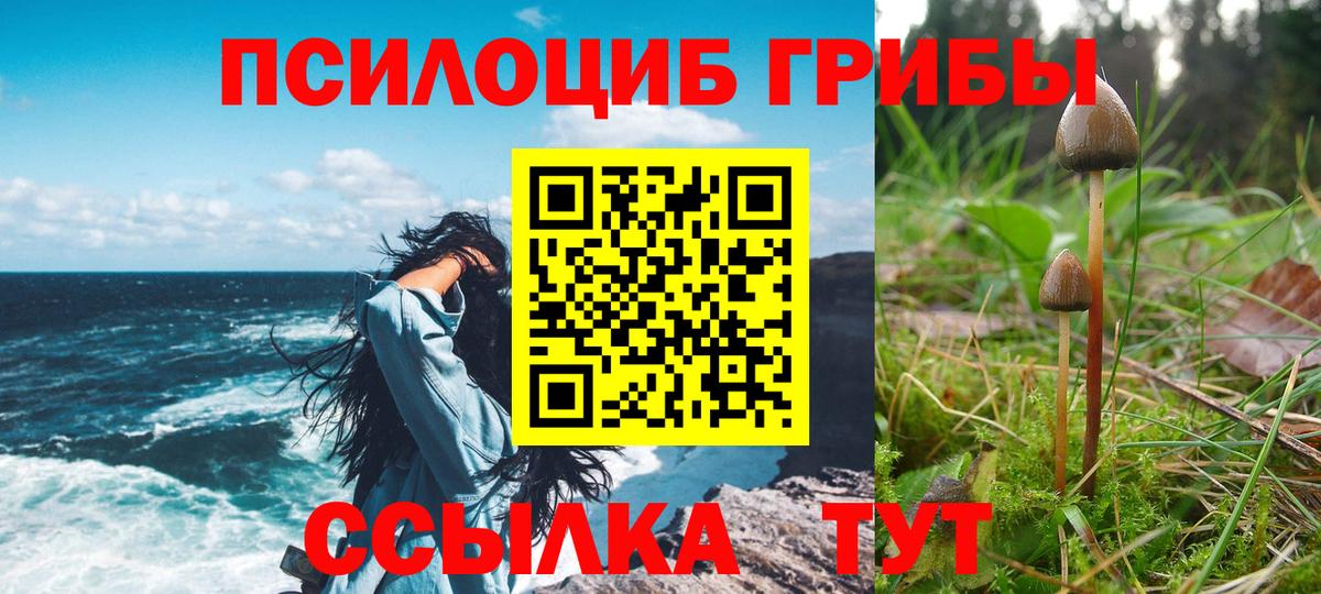 Псилоцибиновые грибы прущие грибы Крымск