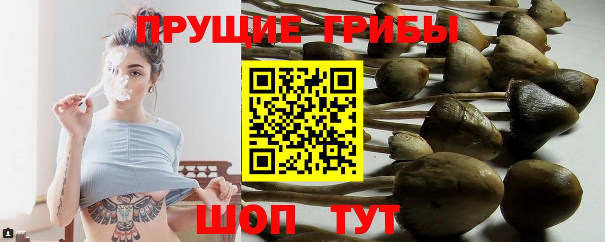 Псилоцибиновые грибы MAGIC MUSHROOMS  Вход с VPN  хочу   Крымск 